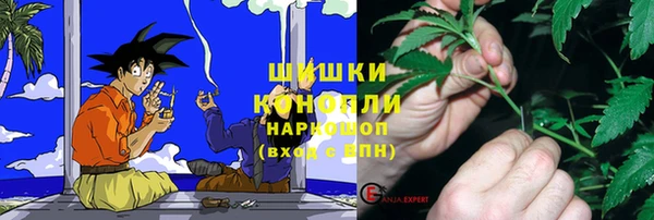 соль ск Алзамай