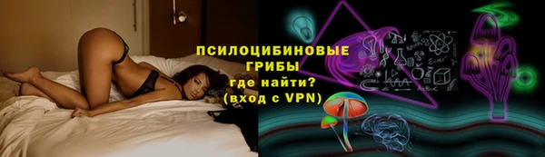 амф Алексеевка