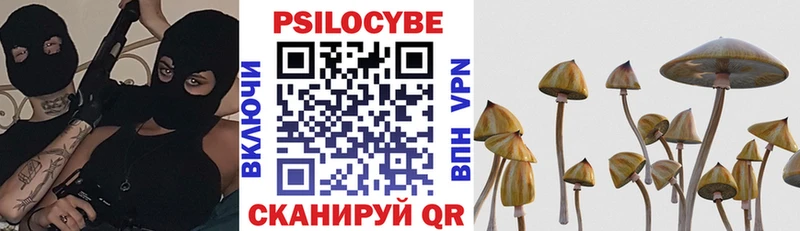 кракен зеркало  Лагань  Галлюциногенные грибы Psilocybe 